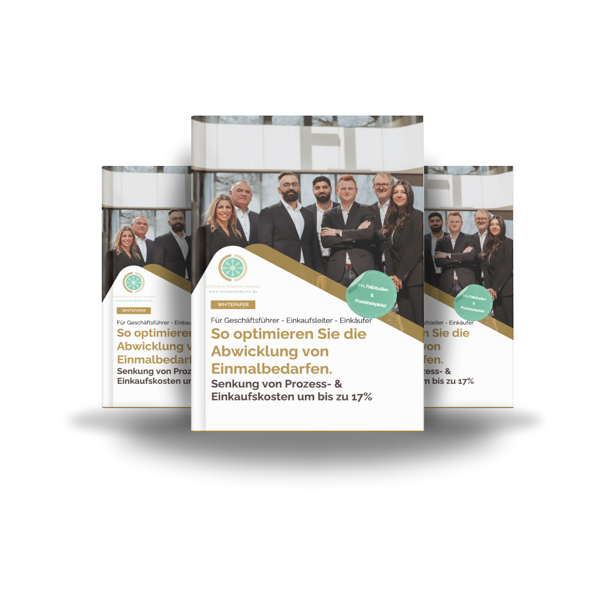 Einmalbedarfe Whitepaper Mockup Einmalbedarfe Whitepaper Mockup